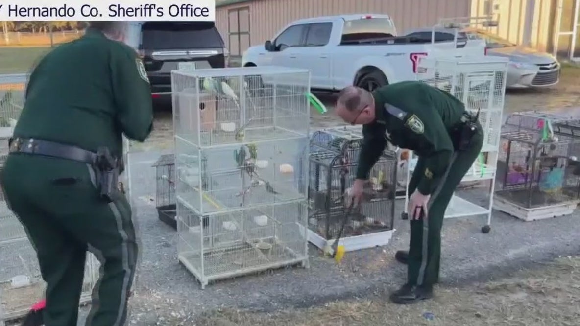 Nearly 100 animals rescued from Spring Hill home